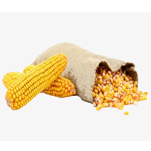 Yellow Corn